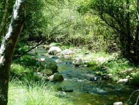 El Fondo financiará acciones de mejora del entrono natural y calidad medioambiental